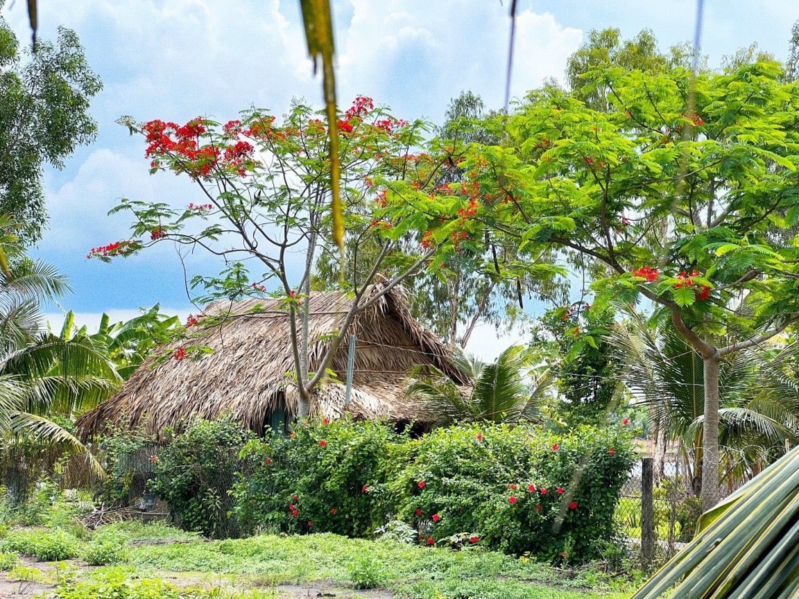 thuviennhadat.vn