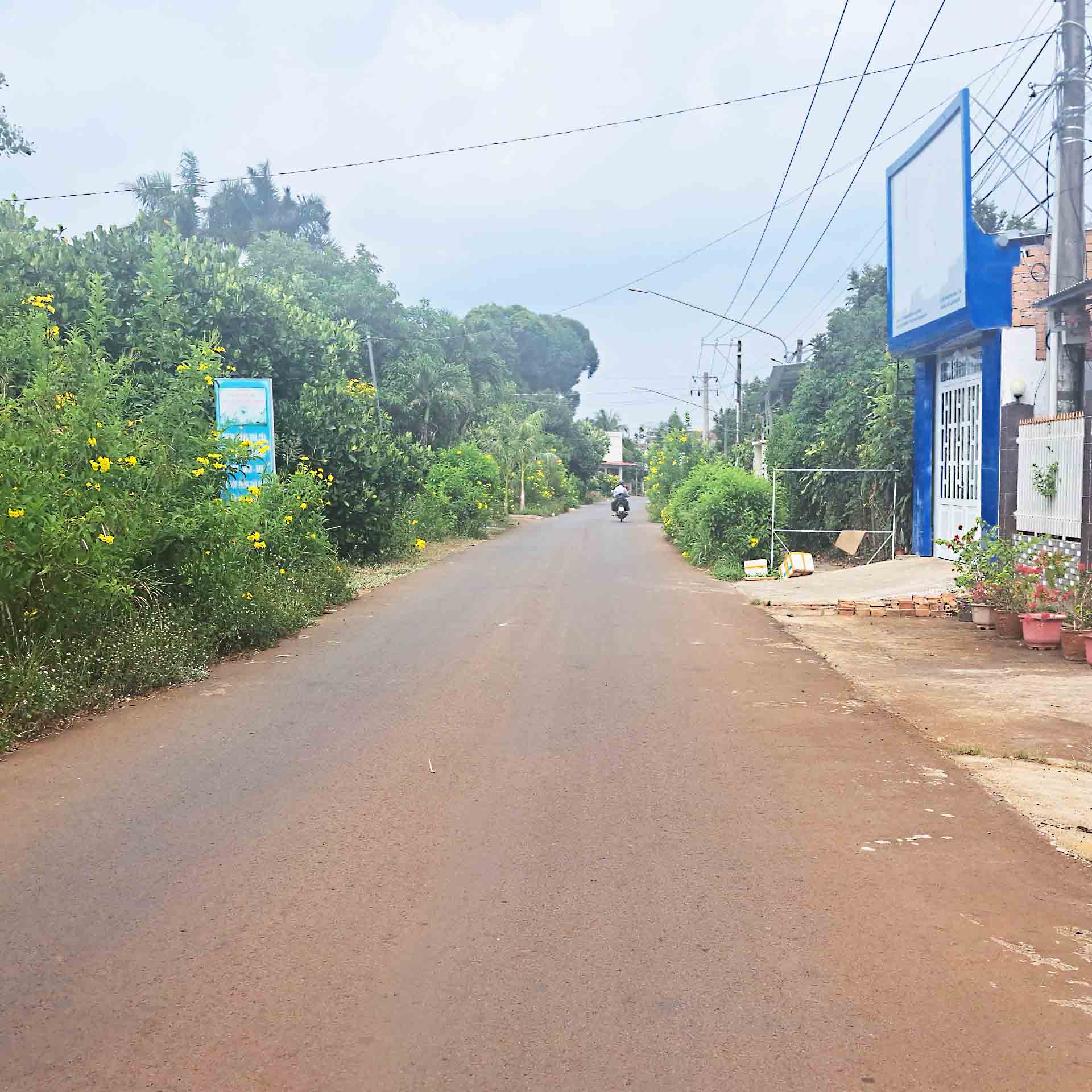 thuviennhadat.vn