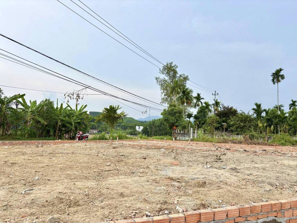 thuviennhadat.vn