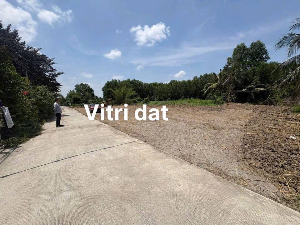 thuviennhadat.vn