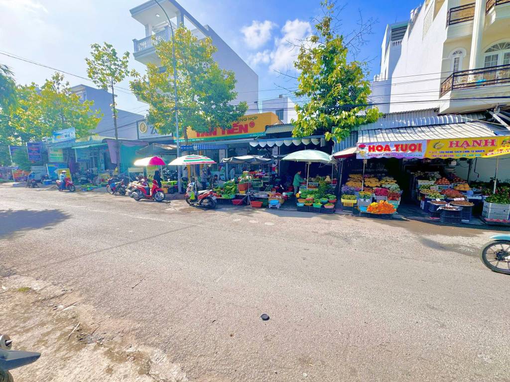 thuviennhadat.vn