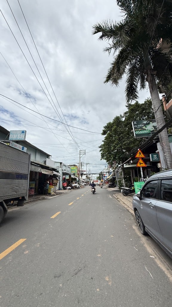 thuviennhadat.vn