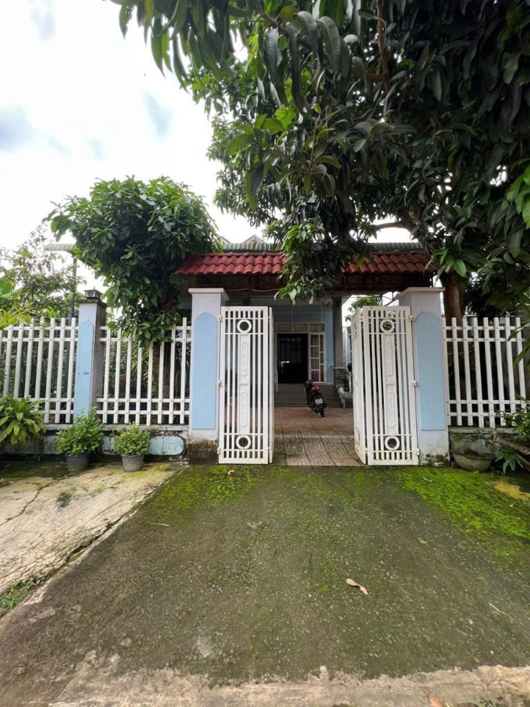 thuviennhadat.vn