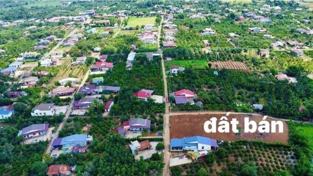 thuviennhadat.vn