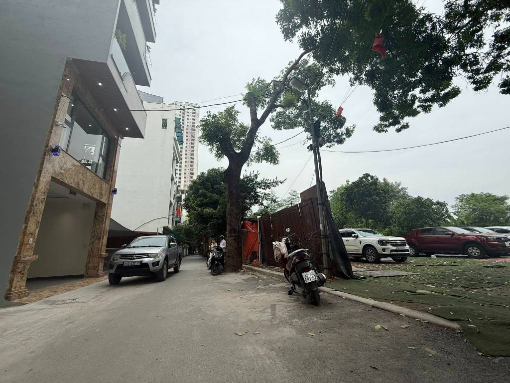 thuviennhadat.vn