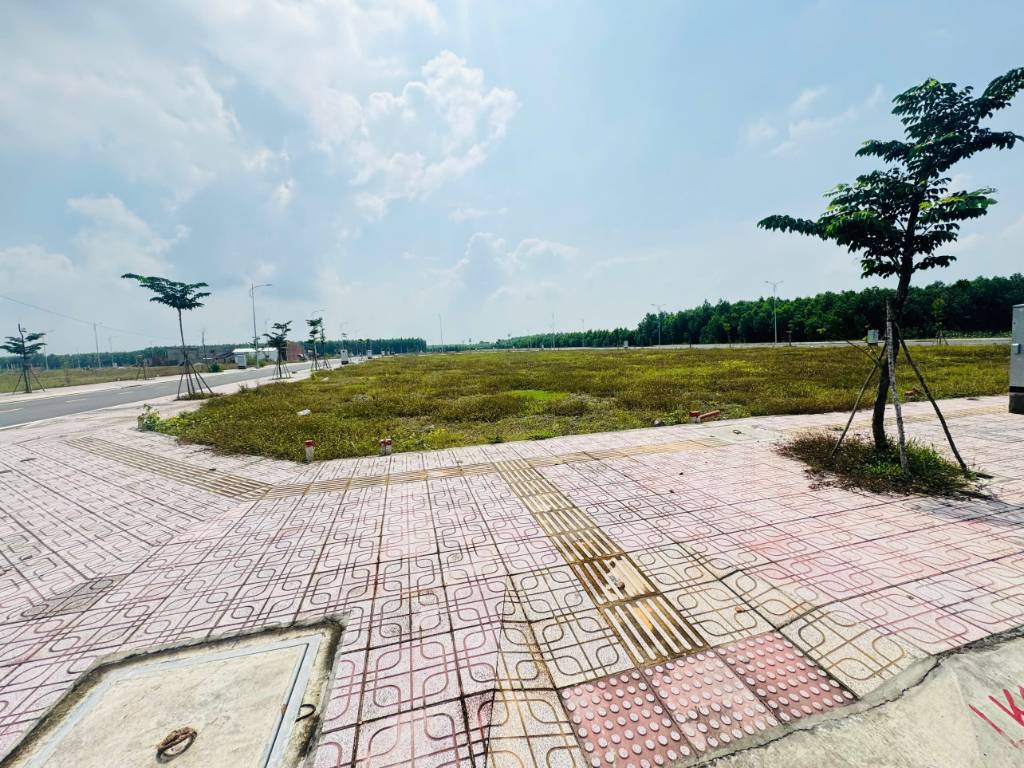 thuviennhadat.vn