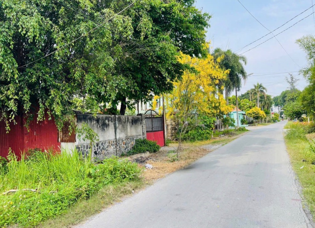 Bán đất Lê Thị Ngà Phước Vĩnh An Củ Chi, dt 218m2 giá rẻ, sổ hồng riêng