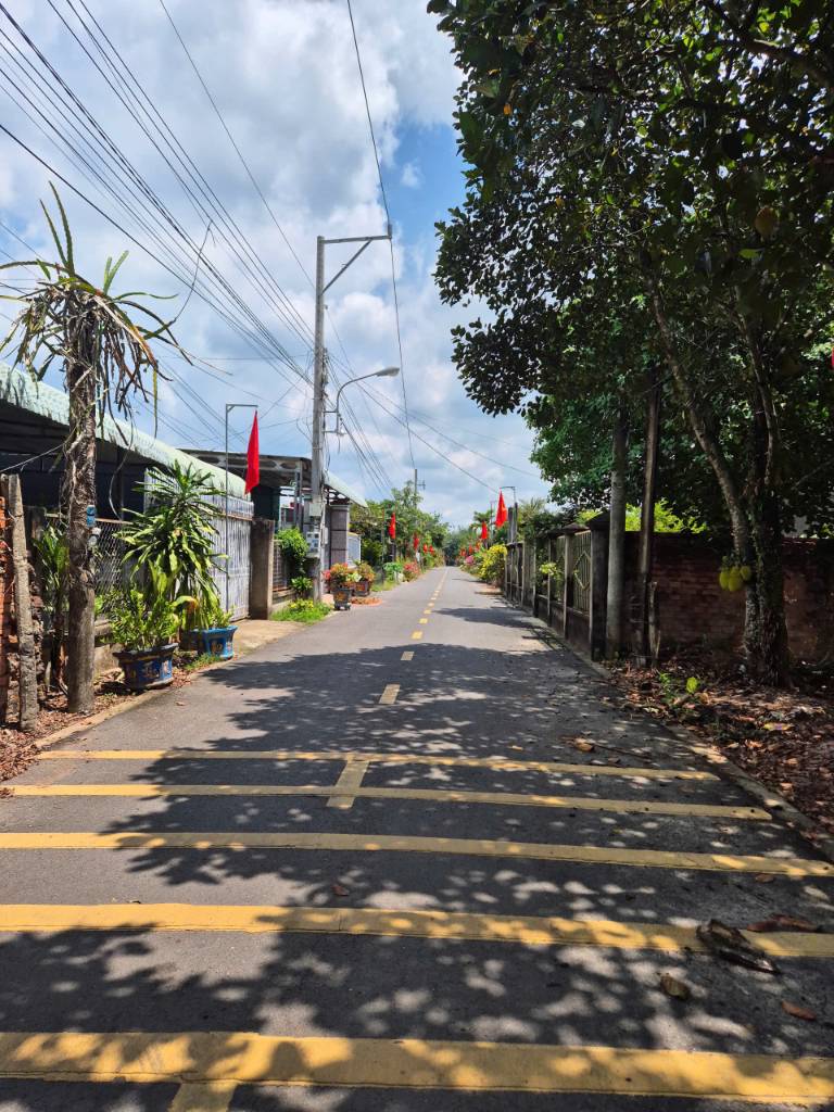 343m2 Nhựa An Linh Ngay Chợ An Linh Gía Full 600tr Ngay Khu Dân Cư