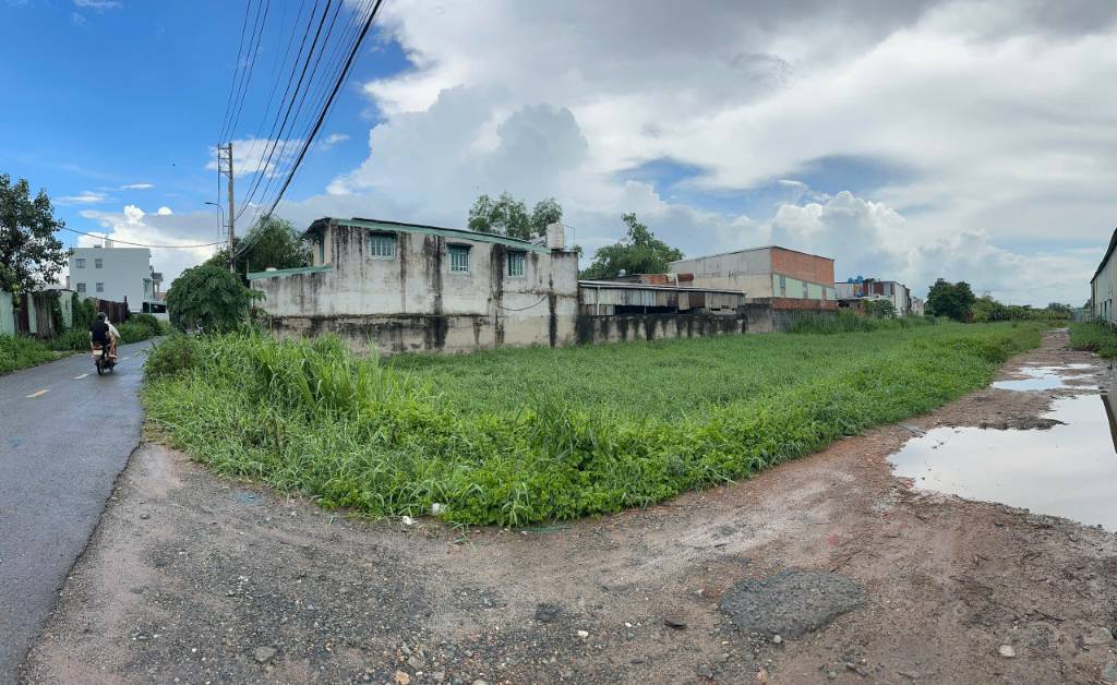 thuviennhadat.vn