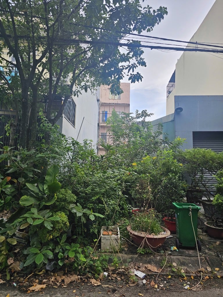 thuviennhadat.vn