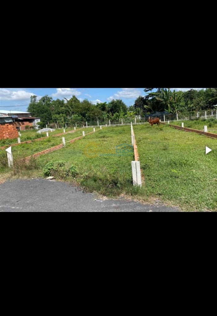 thuviennhadat.vn