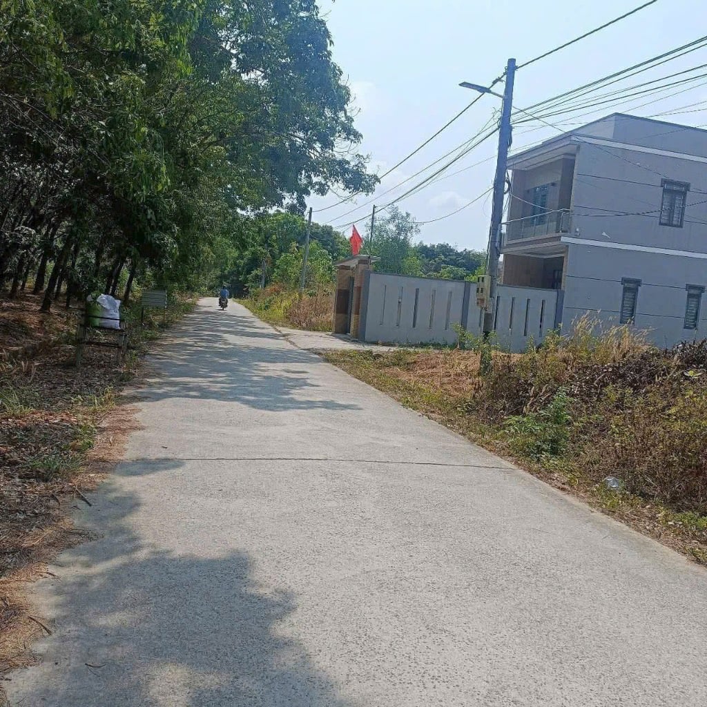 thuviennhadat.vn