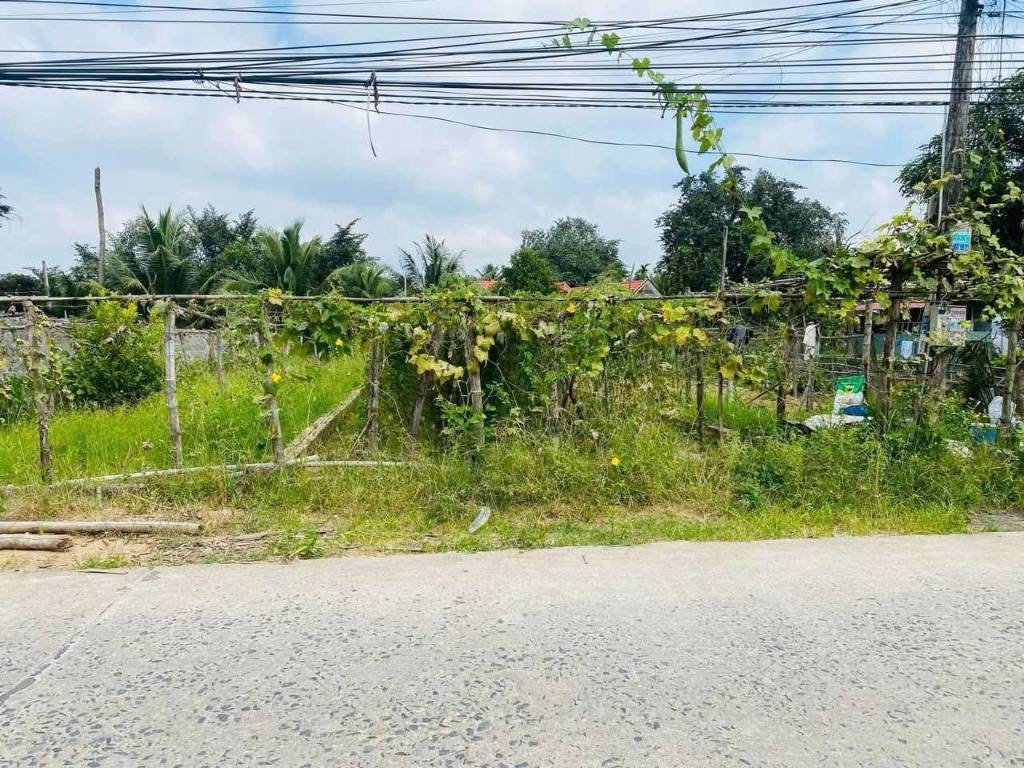 thuviennhadat.vn