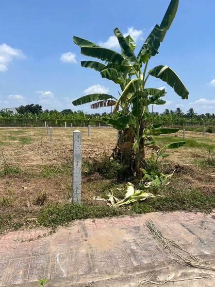 Đất thổ cư hẻm xe hơi 7 chỗ cách Đoàn Thị Nghiệp chỉ 80m Trung An, Tp Mỹ Tho