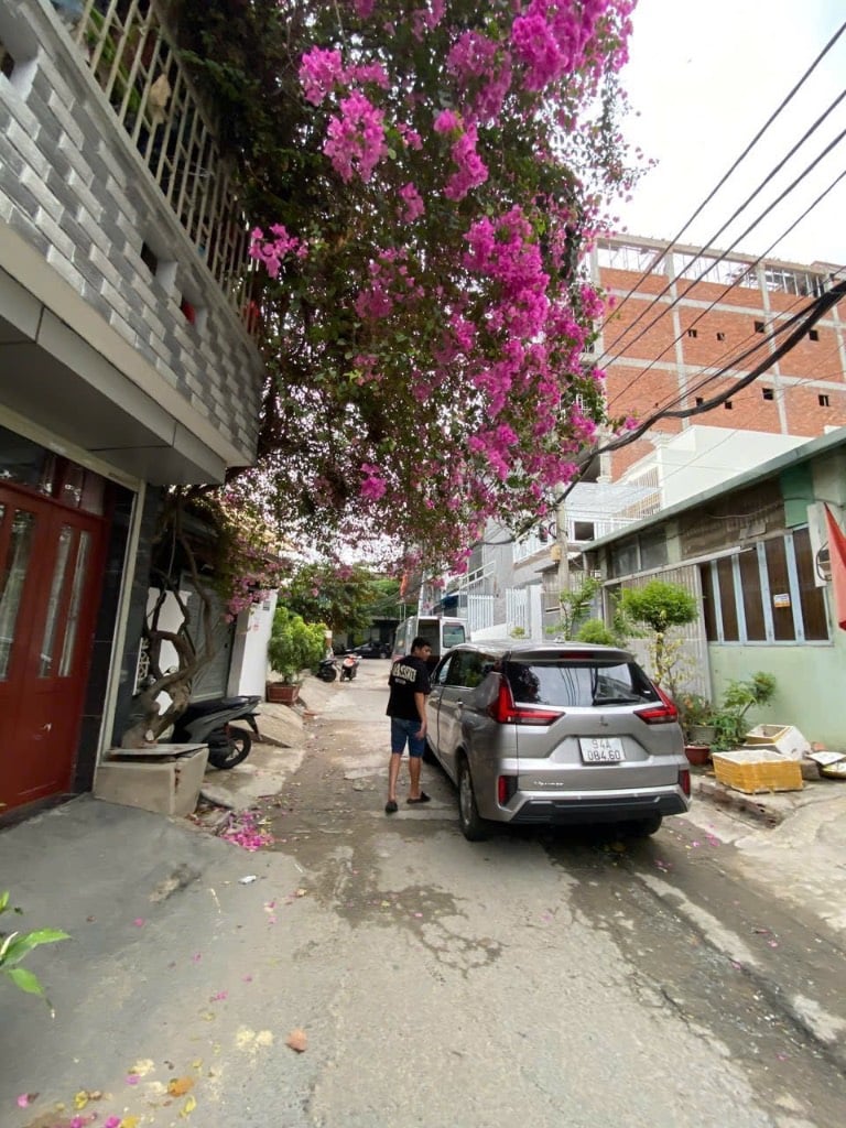 thuviennhadat.vn