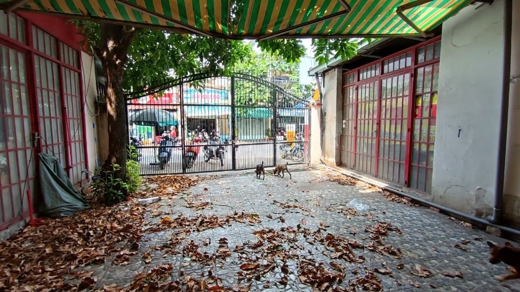 thuviennhadat.vn