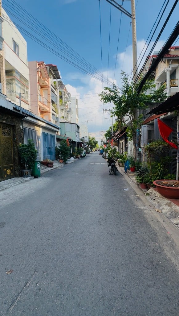thuviennhadat.vn