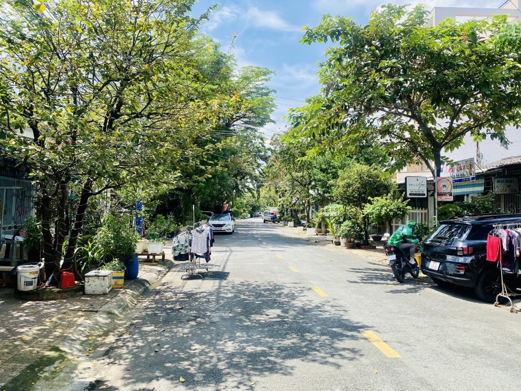 thuviennhadat.vn