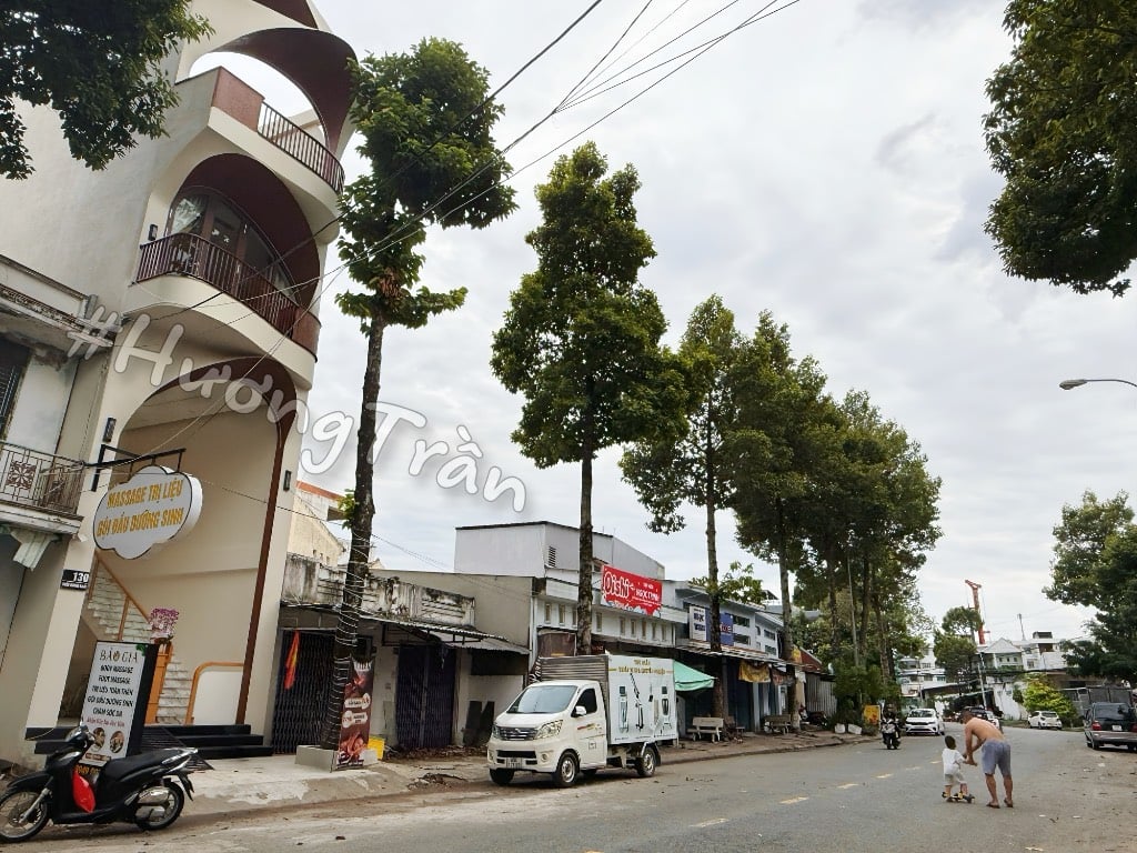 thuviennhadat.vn