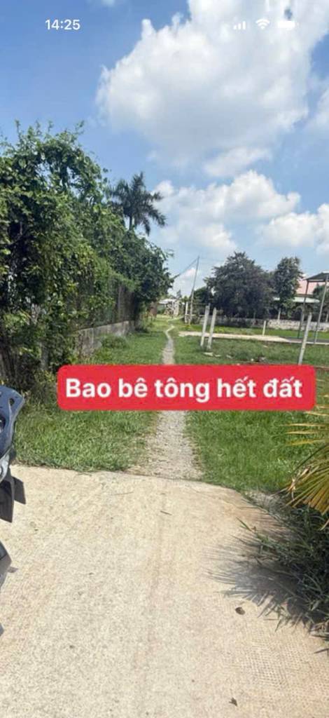 thuviennhadat.vn