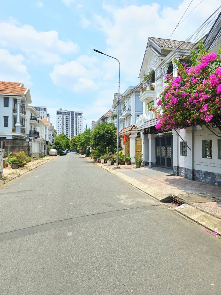 thuviennhadat.vn