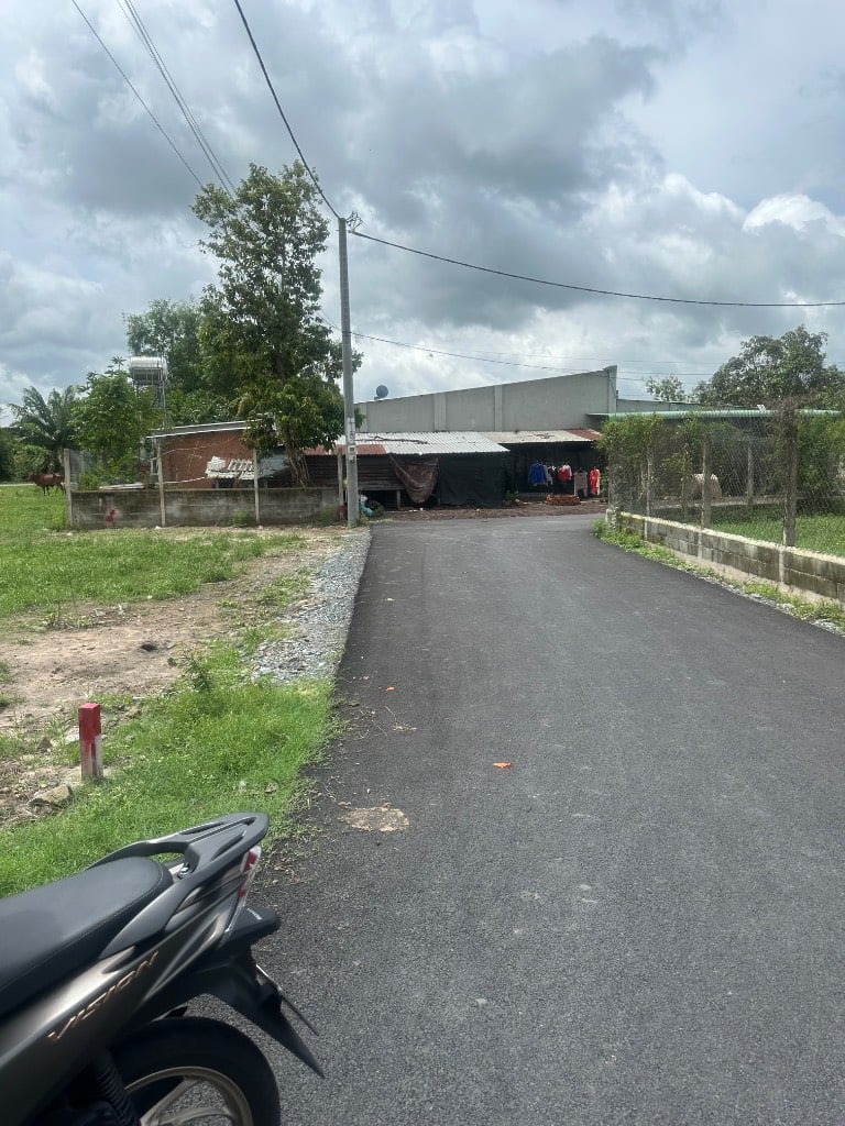 thuviennhadat.vn