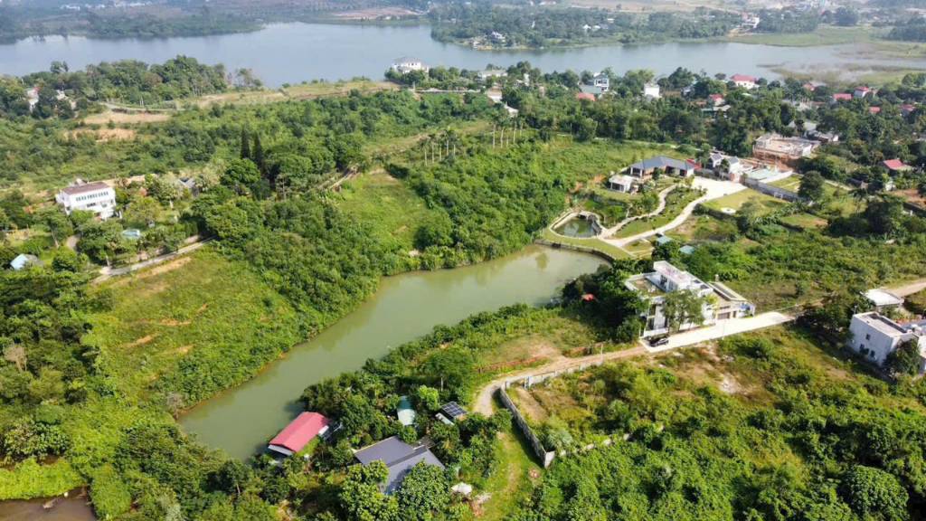 thuviennhadat.vn