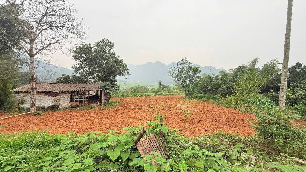 thuviennhadat.vn