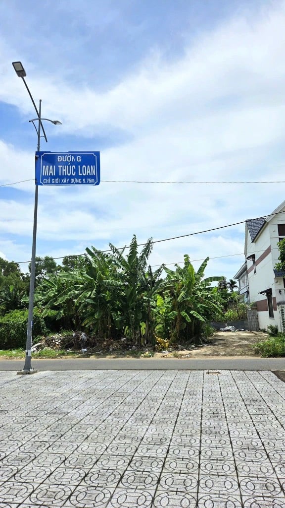 thuviennhadat.vn
