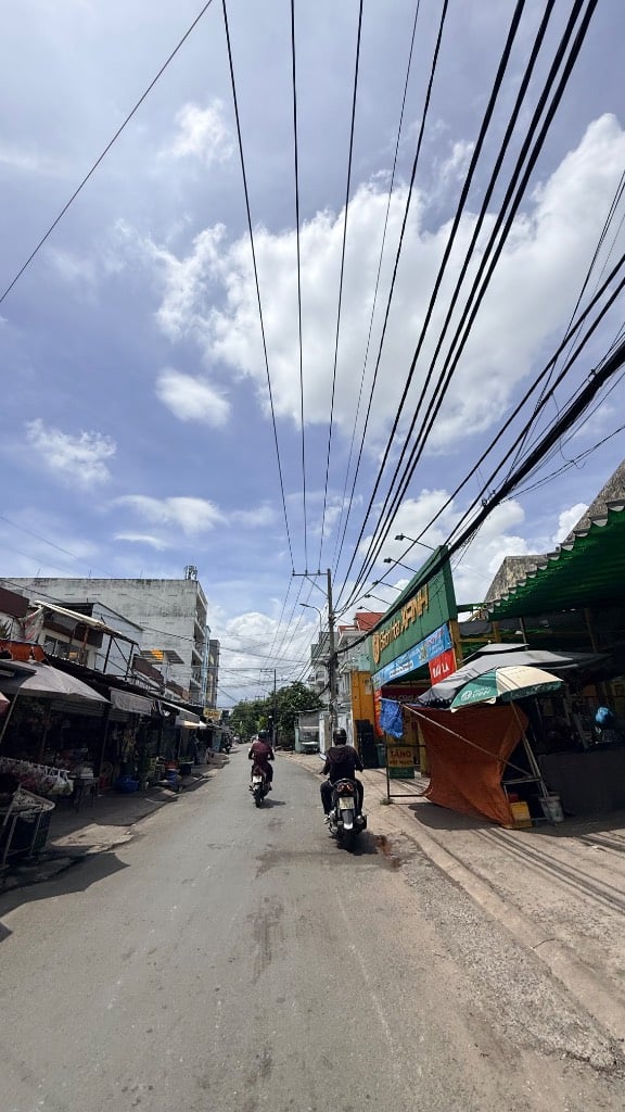 thuviennhadat.vn