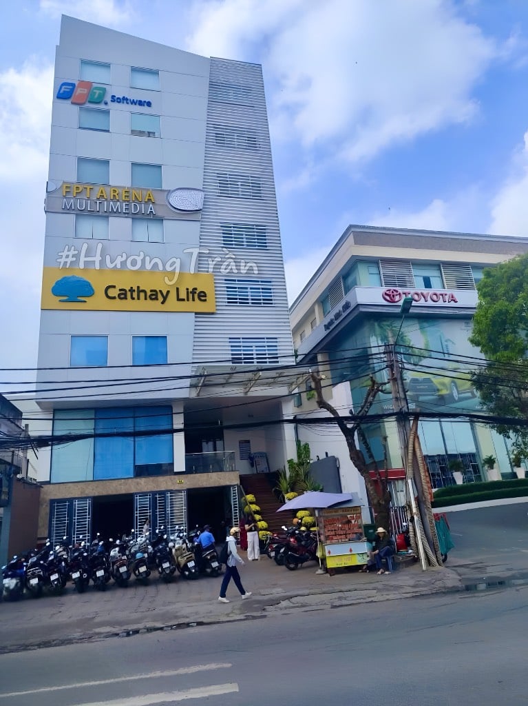 thuviennhadat.vn