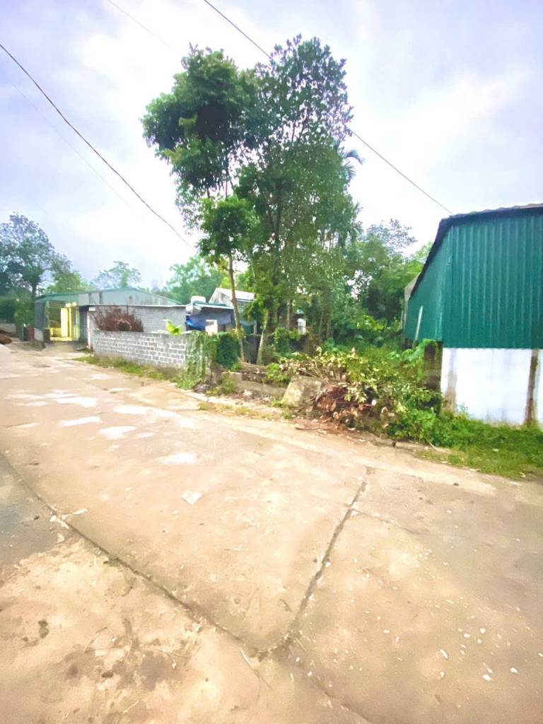 thuviennhadat.vn