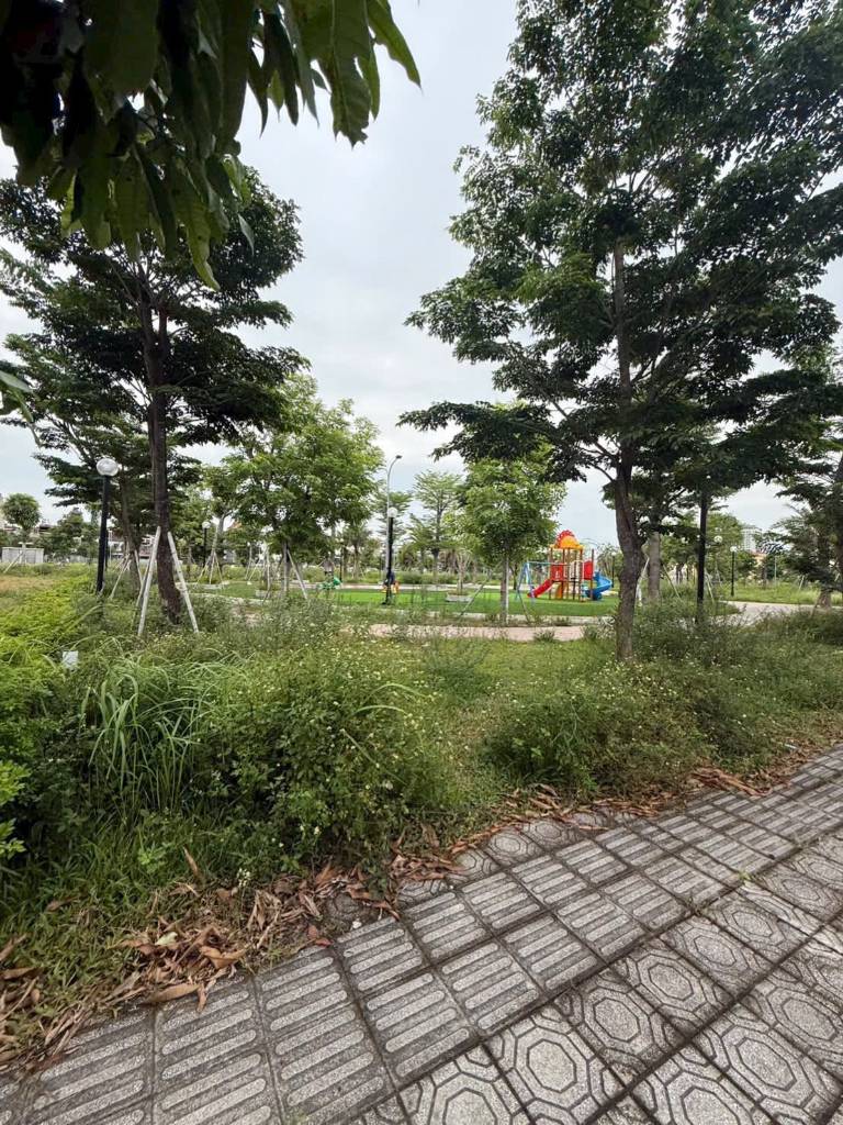 thuviennhadat.vn