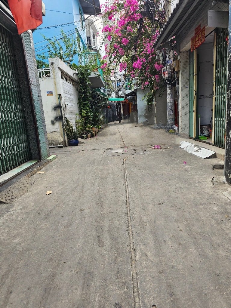 thuviennhadat.vn