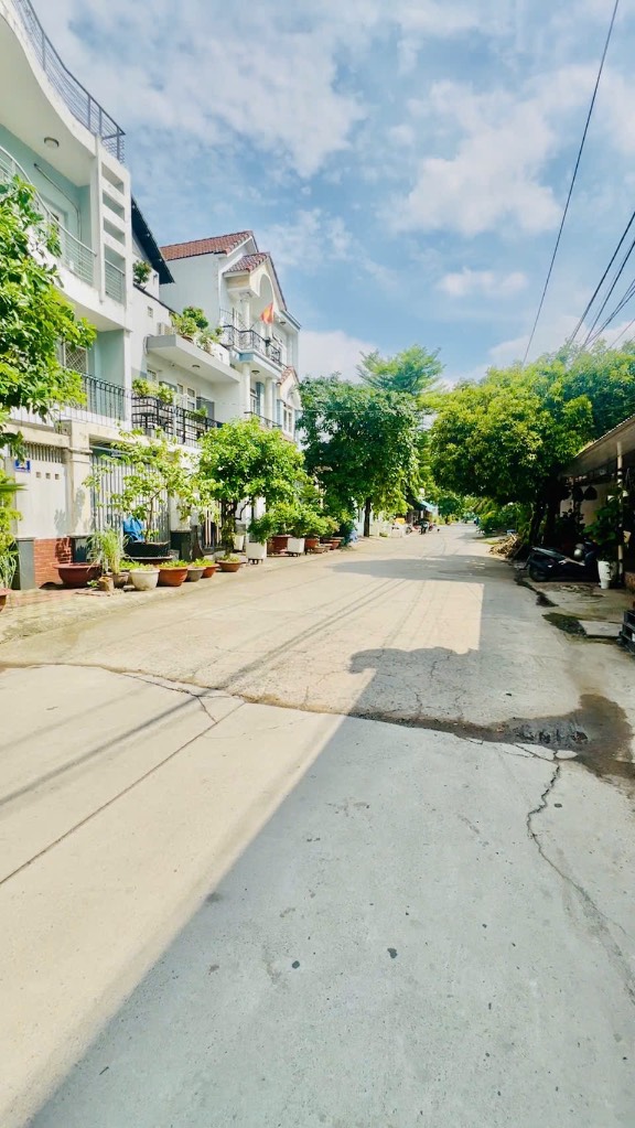 thuviennhadat.vn