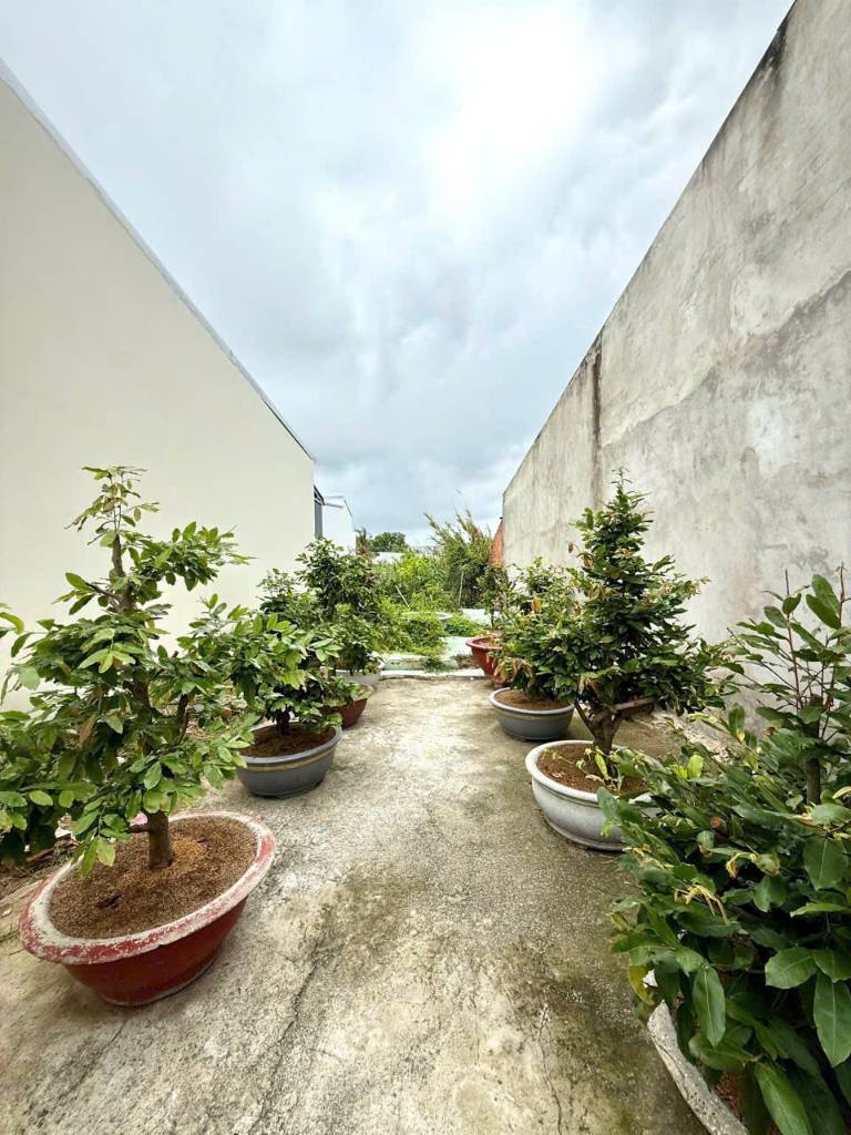 Bán đất nền mặt tiền đường Trần Mai Ninh, KDC Cầu Suối, An Giang, DT 95m2, giá 1,42 tỷ