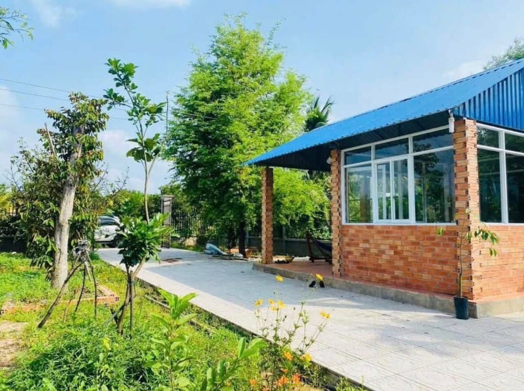thuviennhadat.vn