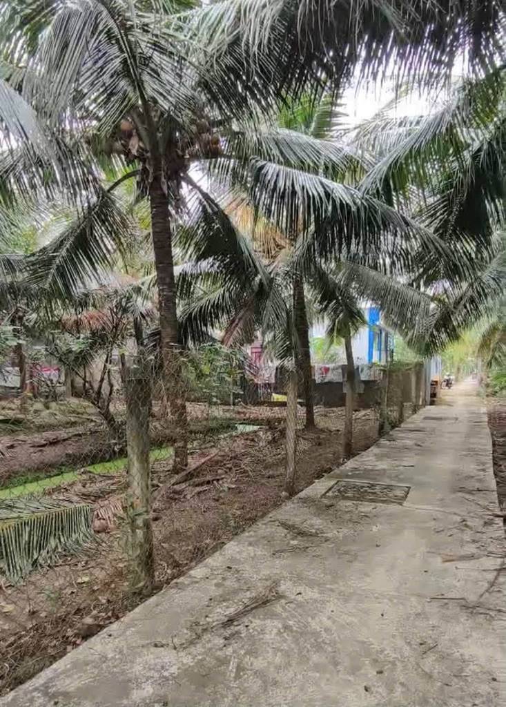 Bán đất vườn Tân Mỹ Chánh, Mỹ Tho, vị trí siêu đẹp, giá đầu tư