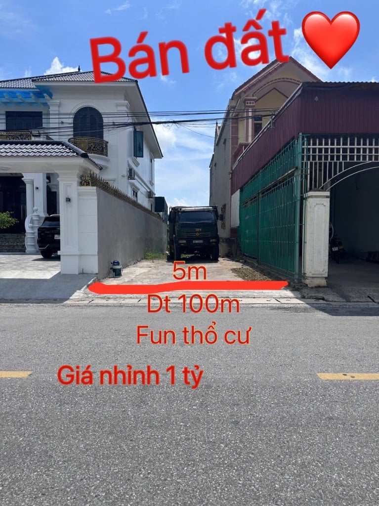 thuviennhadat.vn