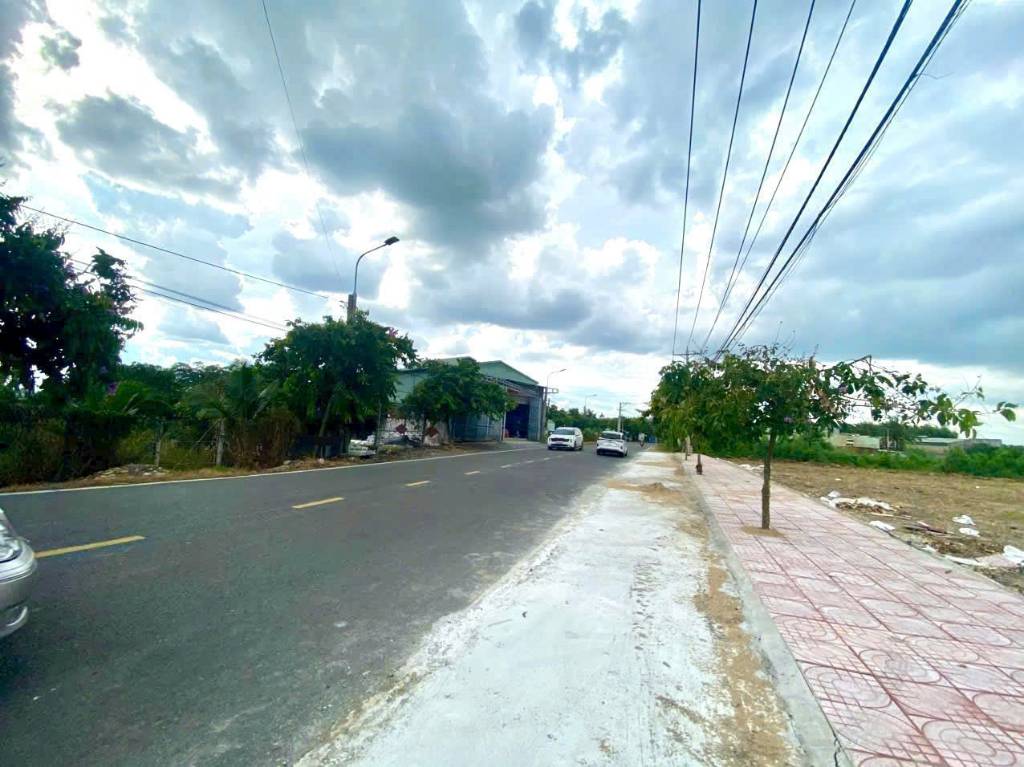 thuviennhadat.vn