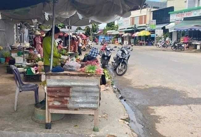 thuviennhadat.vn