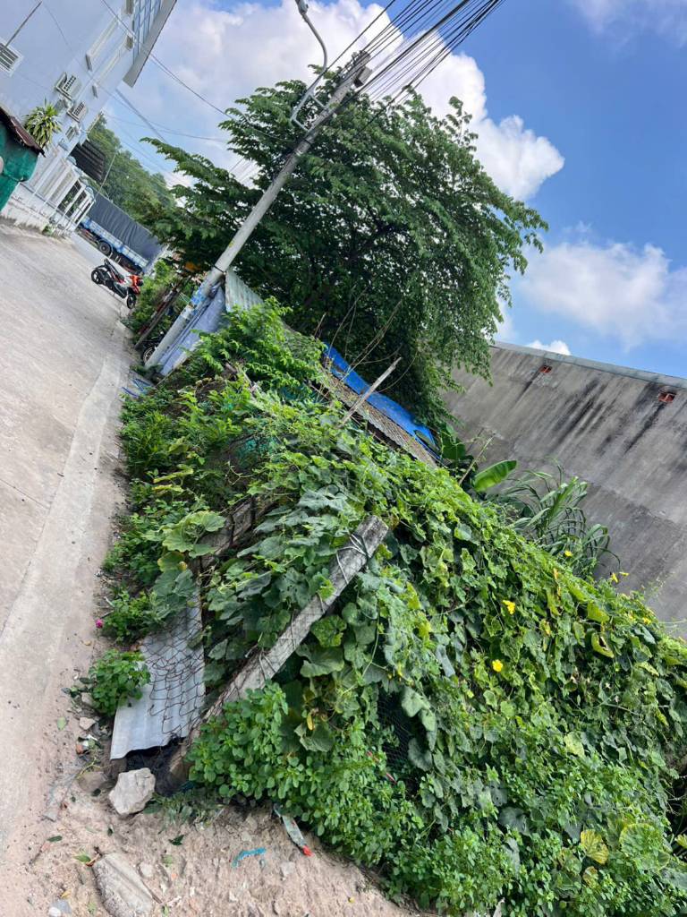 thuviennhadat.vn