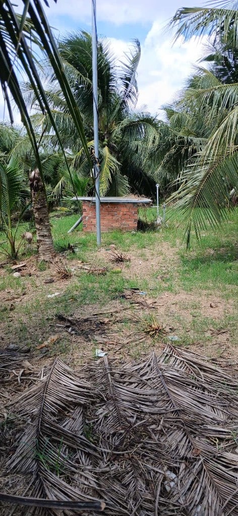 thuviennhadat.vn