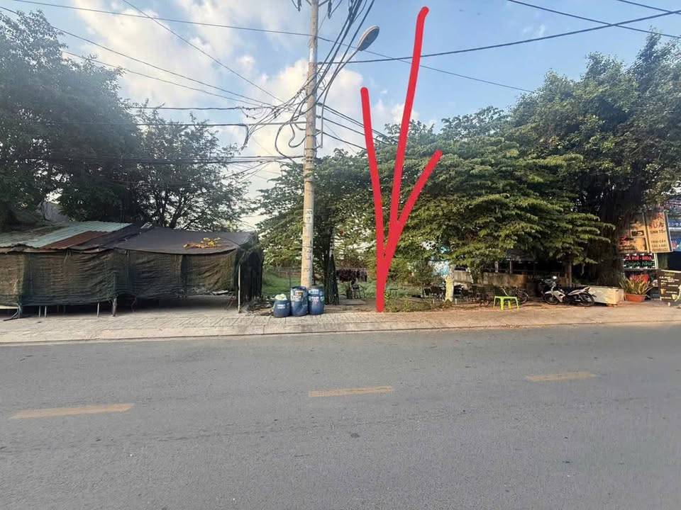 thuviennhadat.vn