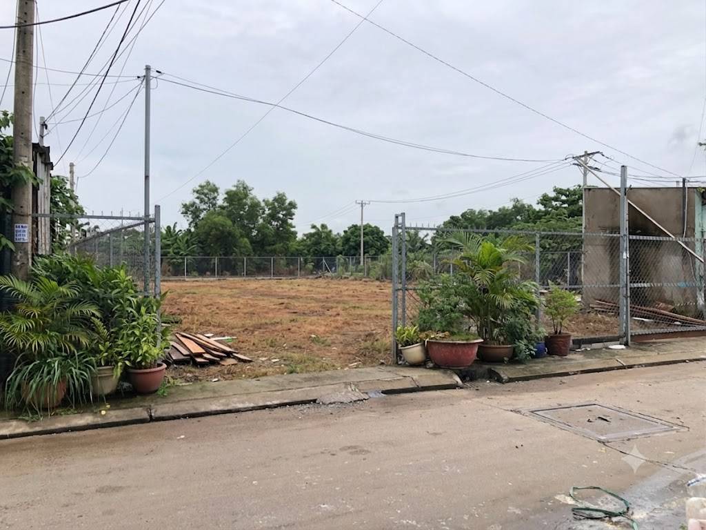 thuviennhadat.vn