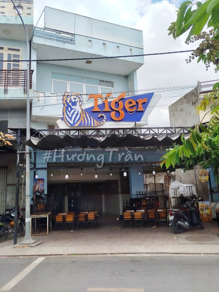 thuviennhadat.vn