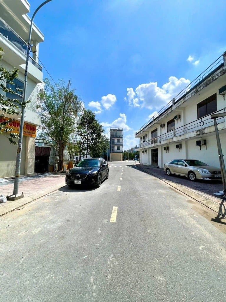 thuviennhadat.vn