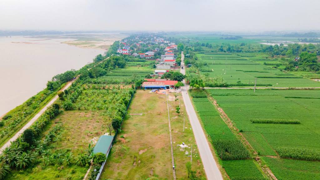 thuviennhadat.vn