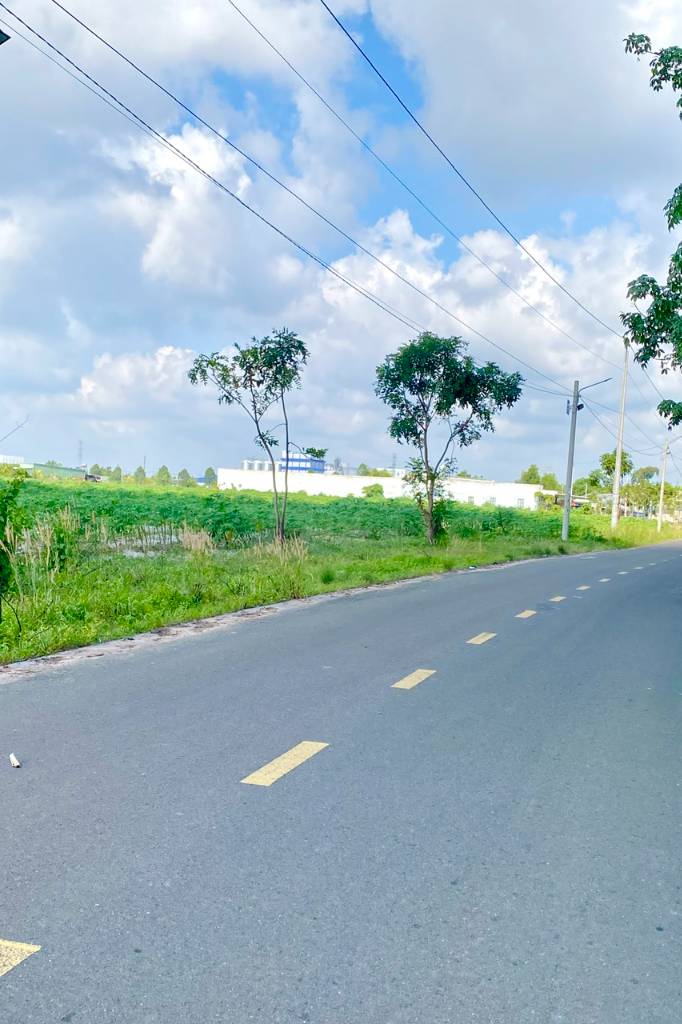 thuviennhadat.vn