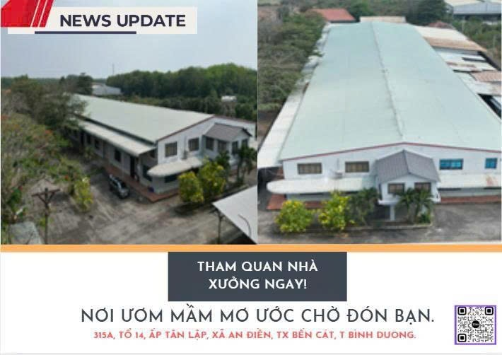 thuviennhadat.vn
